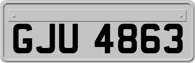 GJU4863