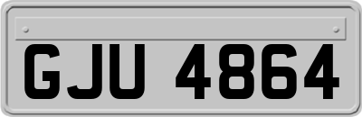 GJU4864
