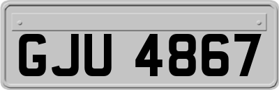 GJU4867