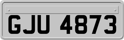 GJU4873