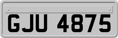 GJU4875