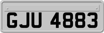 GJU4883