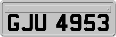 GJU4953