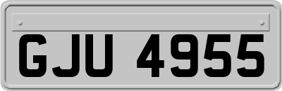 GJU4955