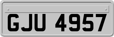 GJU4957