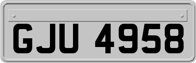 GJU4958