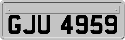 GJU4959