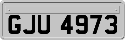 GJU4973