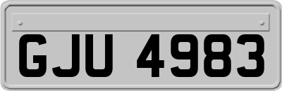 GJU4983