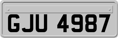 GJU4987