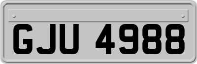 GJU4988