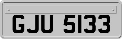 GJU5133