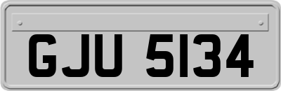 GJU5134