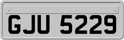 GJU5229