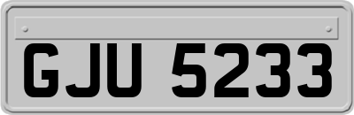 GJU5233
