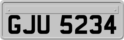 GJU5234