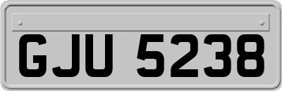 GJU5238