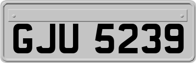 GJU5239