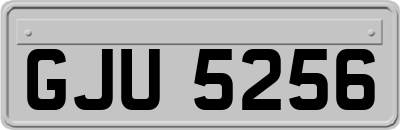 GJU5256