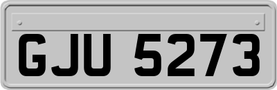 GJU5273