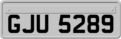 GJU5289