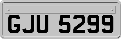 GJU5299