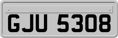 GJU5308