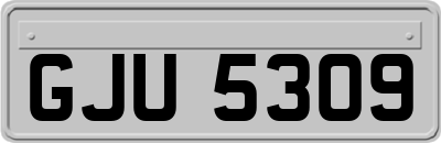 GJU5309