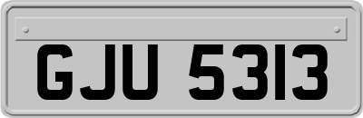 GJU5313