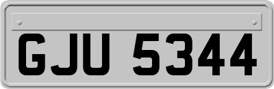 GJU5344