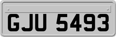 GJU5493
