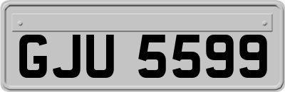 GJU5599