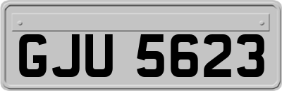 GJU5623