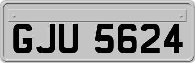 GJU5624