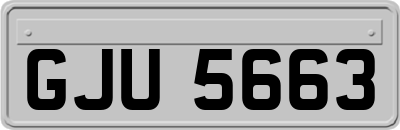GJU5663
