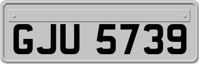 GJU5739