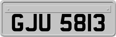 GJU5813