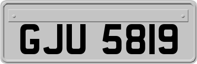 GJU5819
