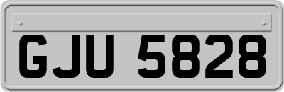 GJU5828