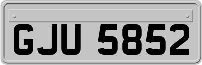 GJU5852