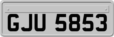 GJU5853