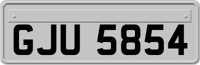 GJU5854