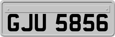 GJU5856