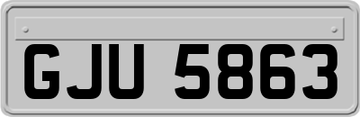 GJU5863