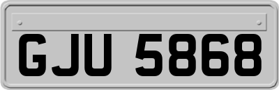 GJU5868