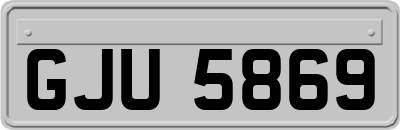 GJU5869
