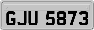 GJU5873