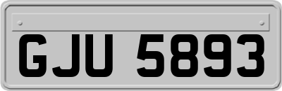 GJU5893