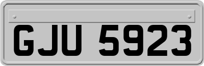 GJU5923