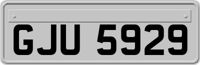 GJU5929